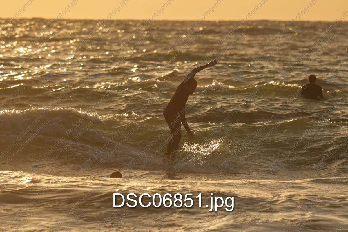 DSC06851.jpg