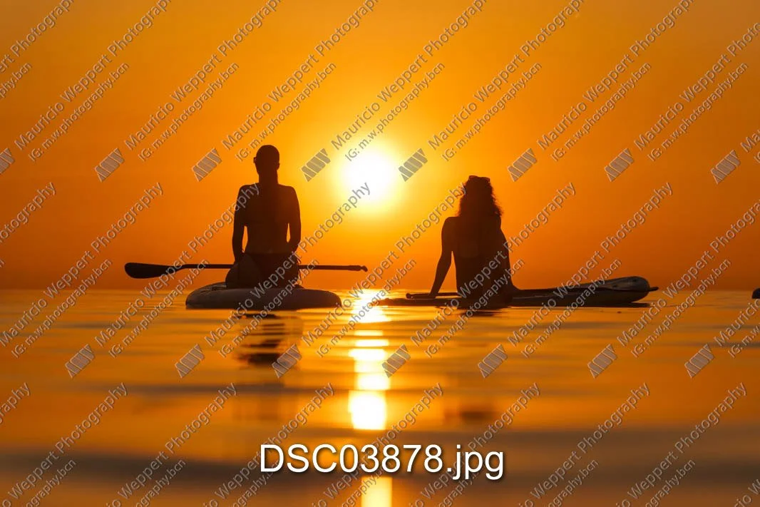 DSC03878.jpg