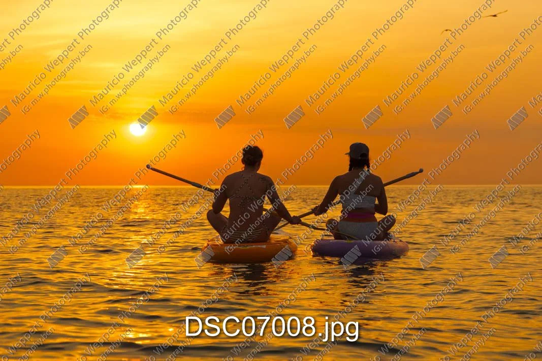 DSC07008.jpg