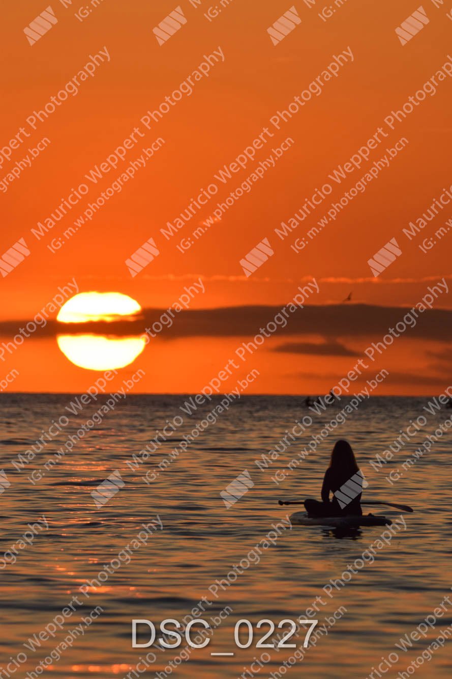 DSC_0227.jpg
