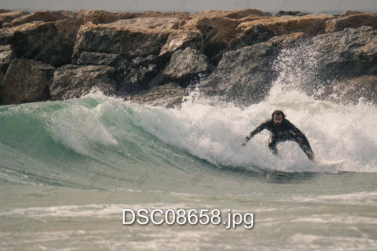 DSC08658.jpg