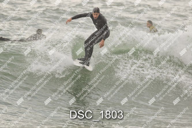 DSC_1803.jpg