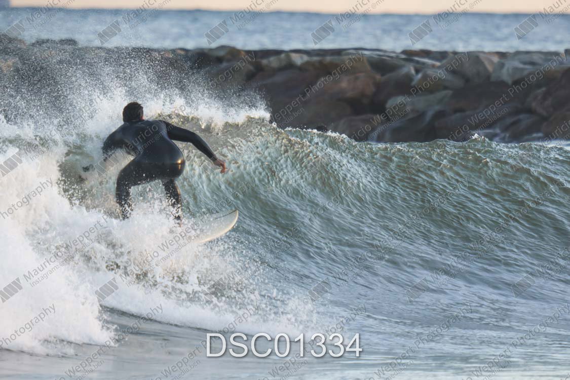 DSC01334.jpg