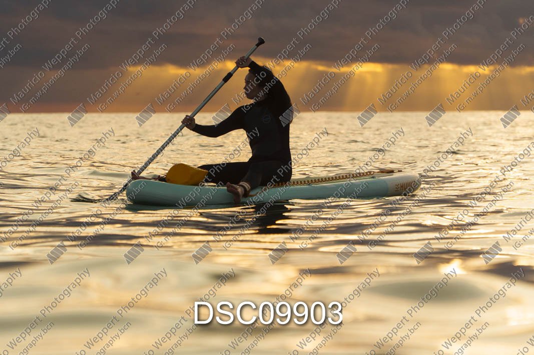 DSC09903.jpg
