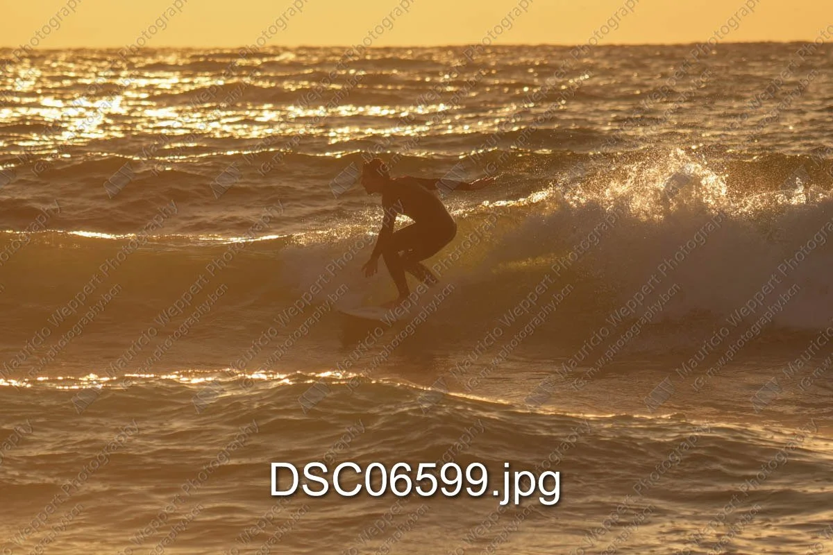 DSC06599.jpg