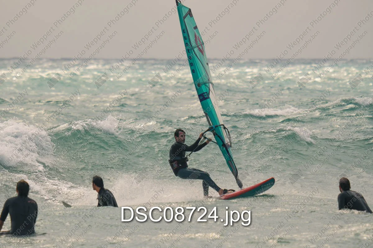 DSC08724.jpg