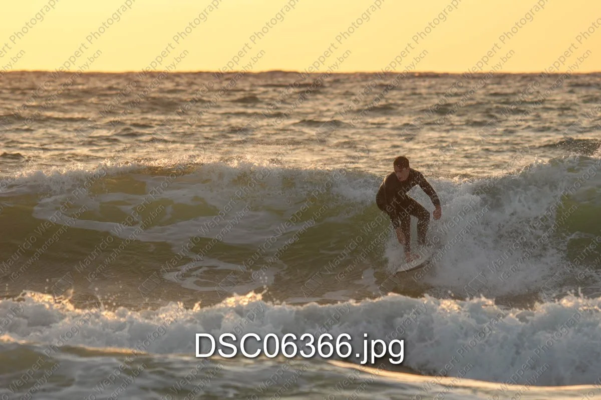 DSC06366.jpg