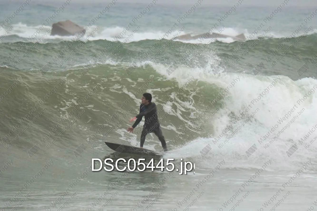 DSC05445.jpg