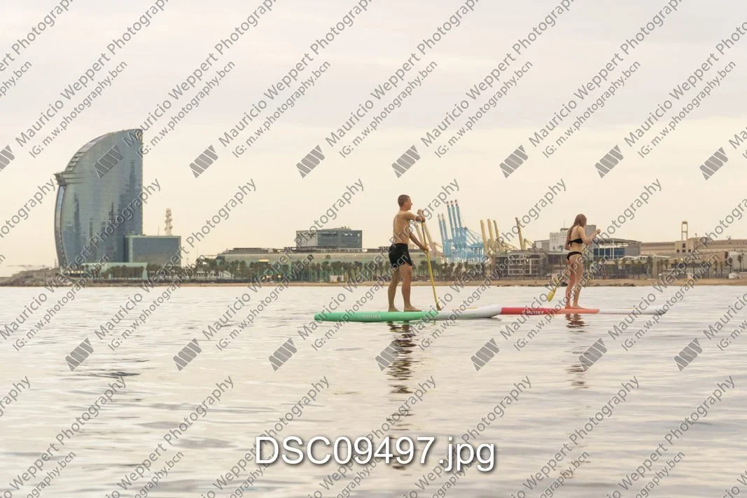 DSC09497.jpg