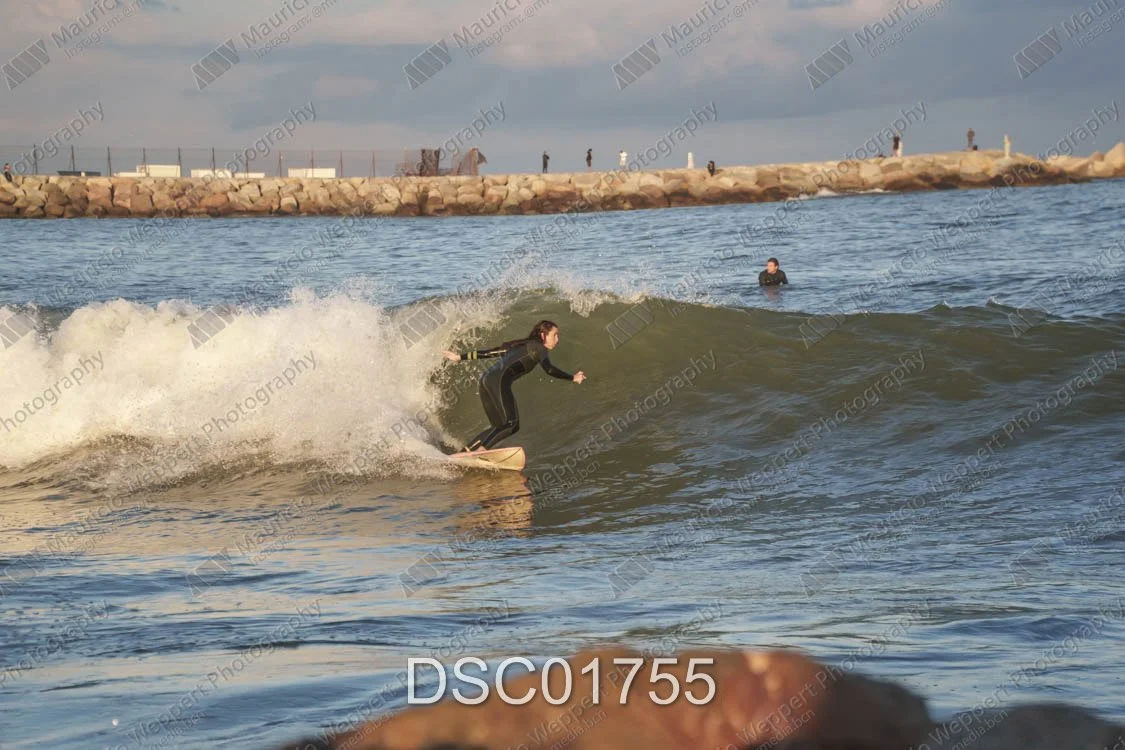 DSC01755.jpg