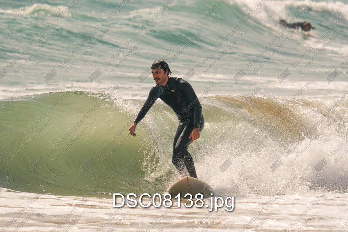DSC08138.jpg