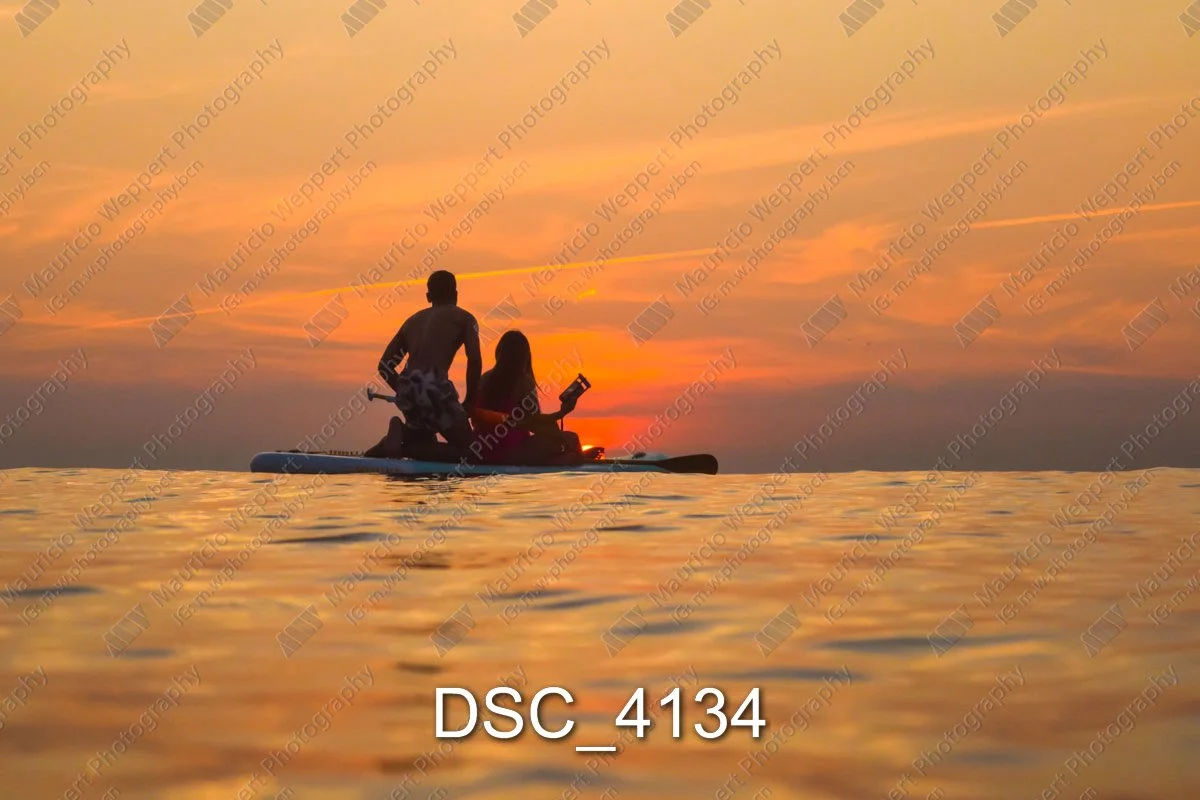 DSC_4134.jpg