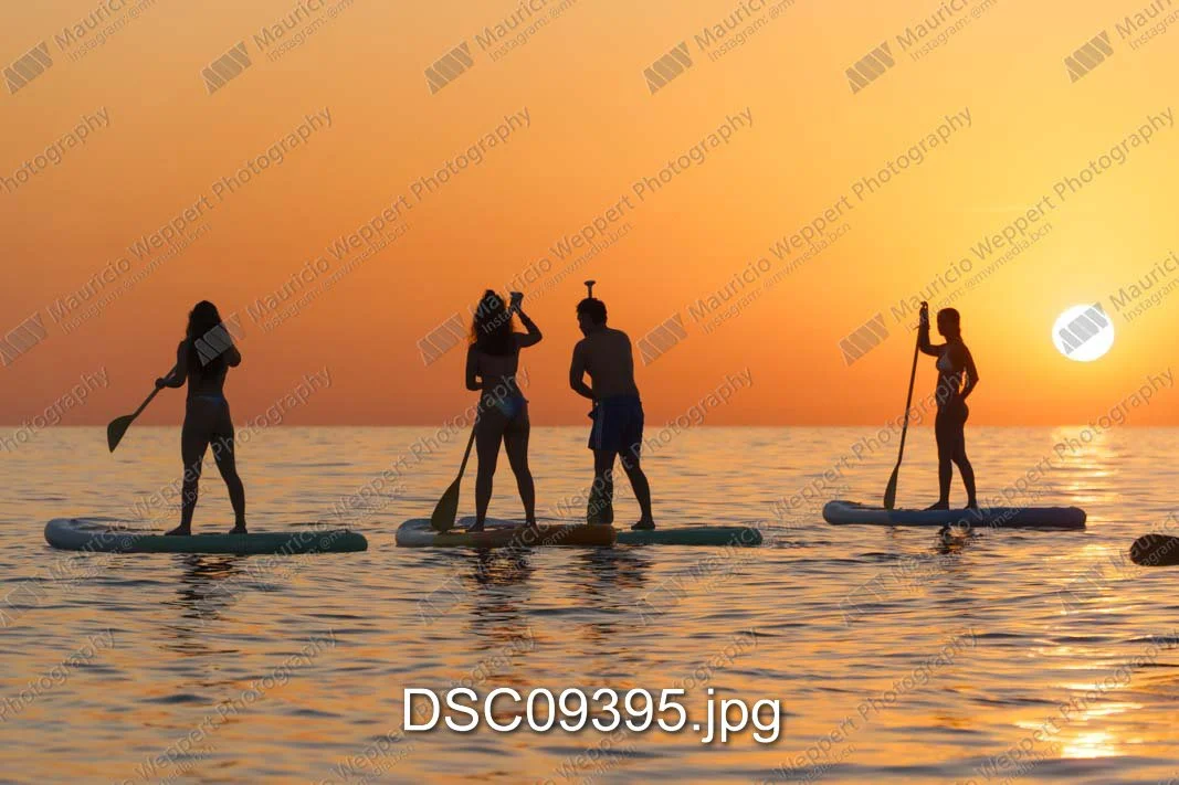 DSC09395.jpg