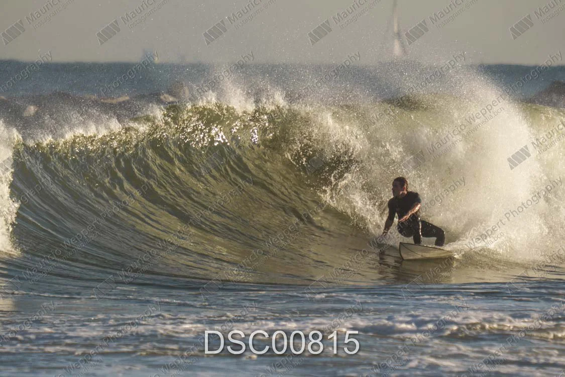 DSC00815.jpg