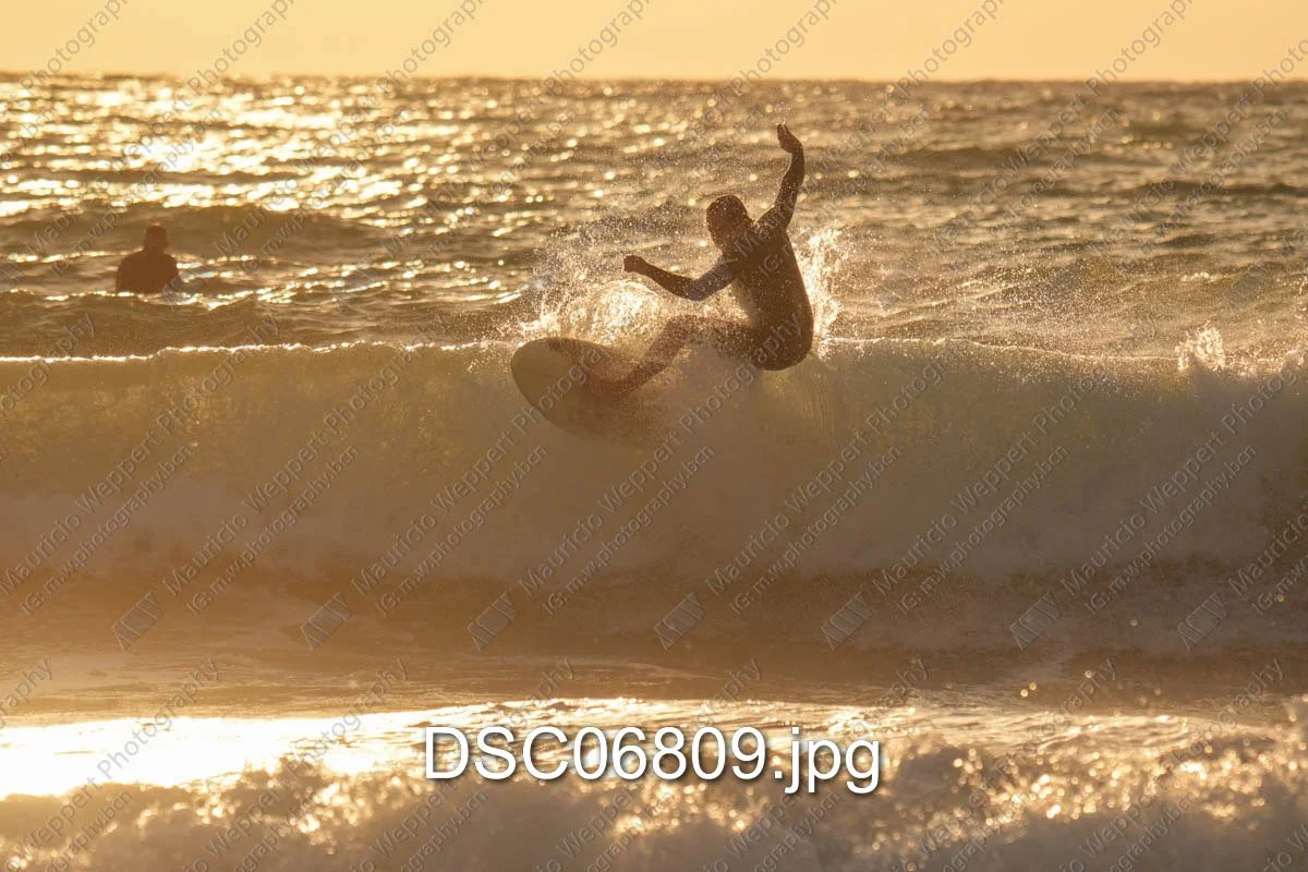 DSC06809.jpg
