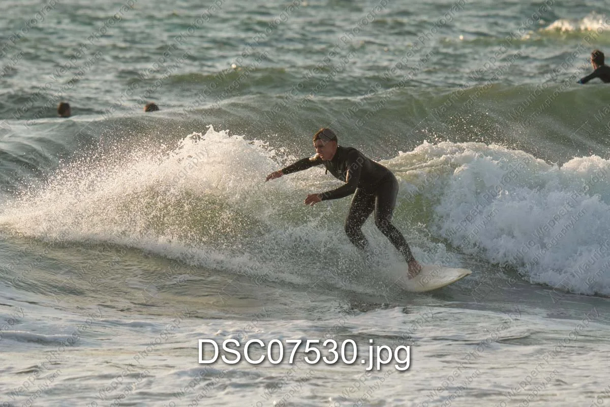 DSC07530.jpg