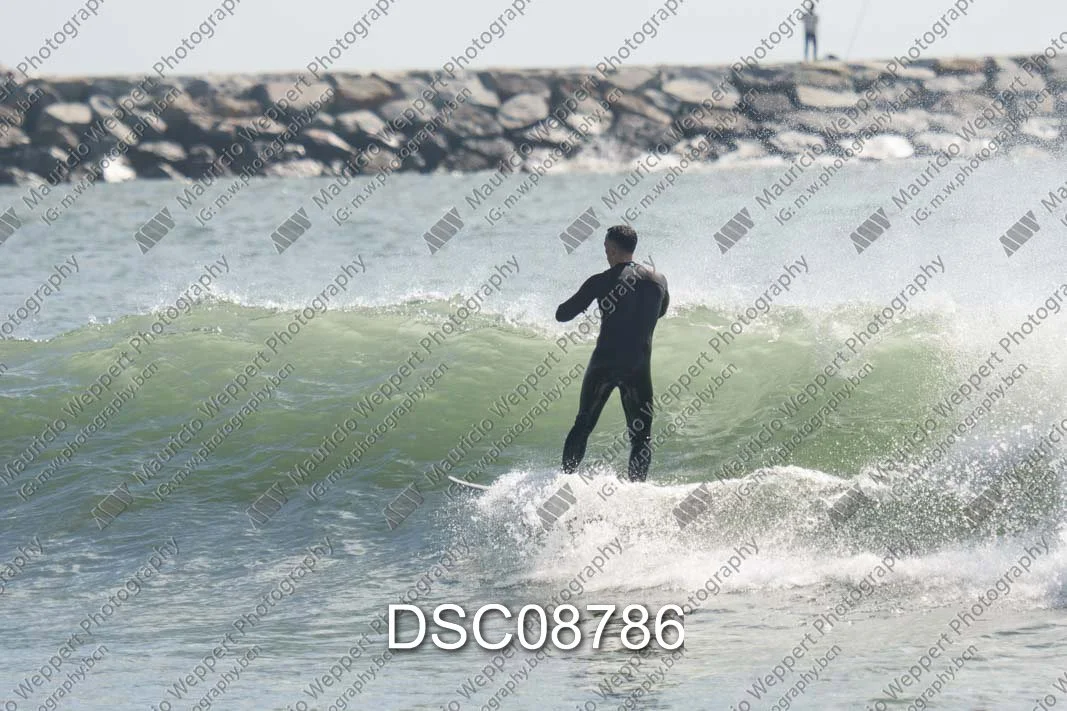 DSC08786.jpg