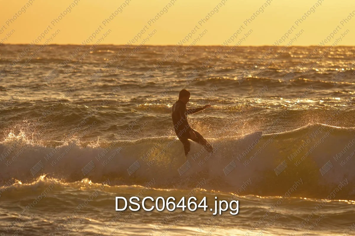 DSC06464.jpg
