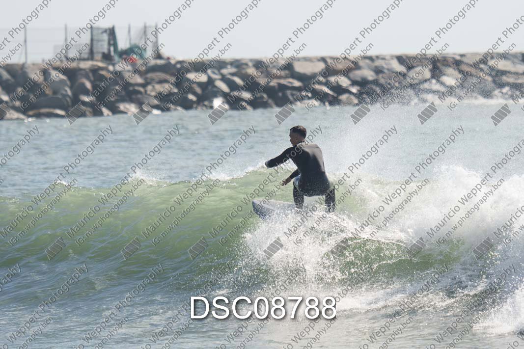 DSC08788.jpg