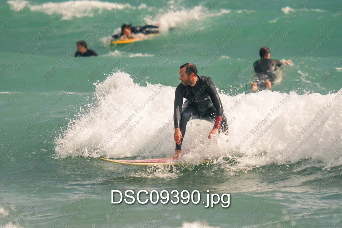 DSC09390.jpg
