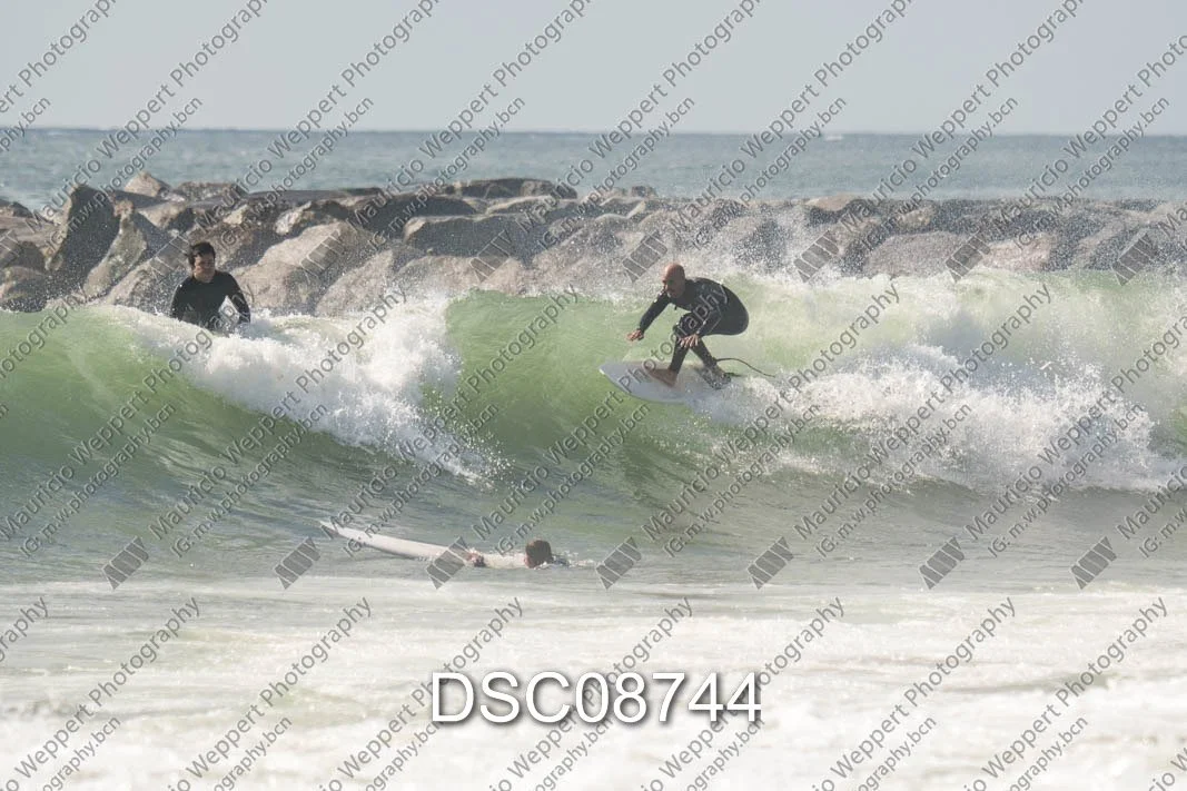 DSC08744.jpg