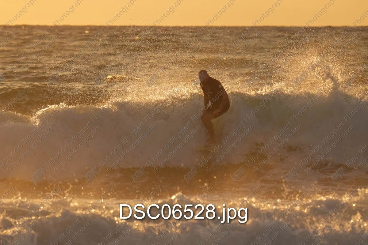 DSC06528.jpg