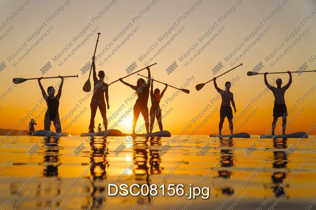 DSC08156.jpg