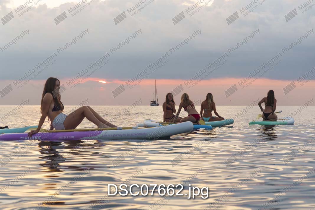 DSC07662.jpg