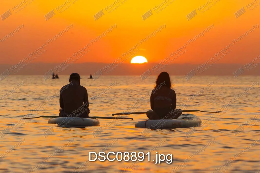 DSC08891.jpg