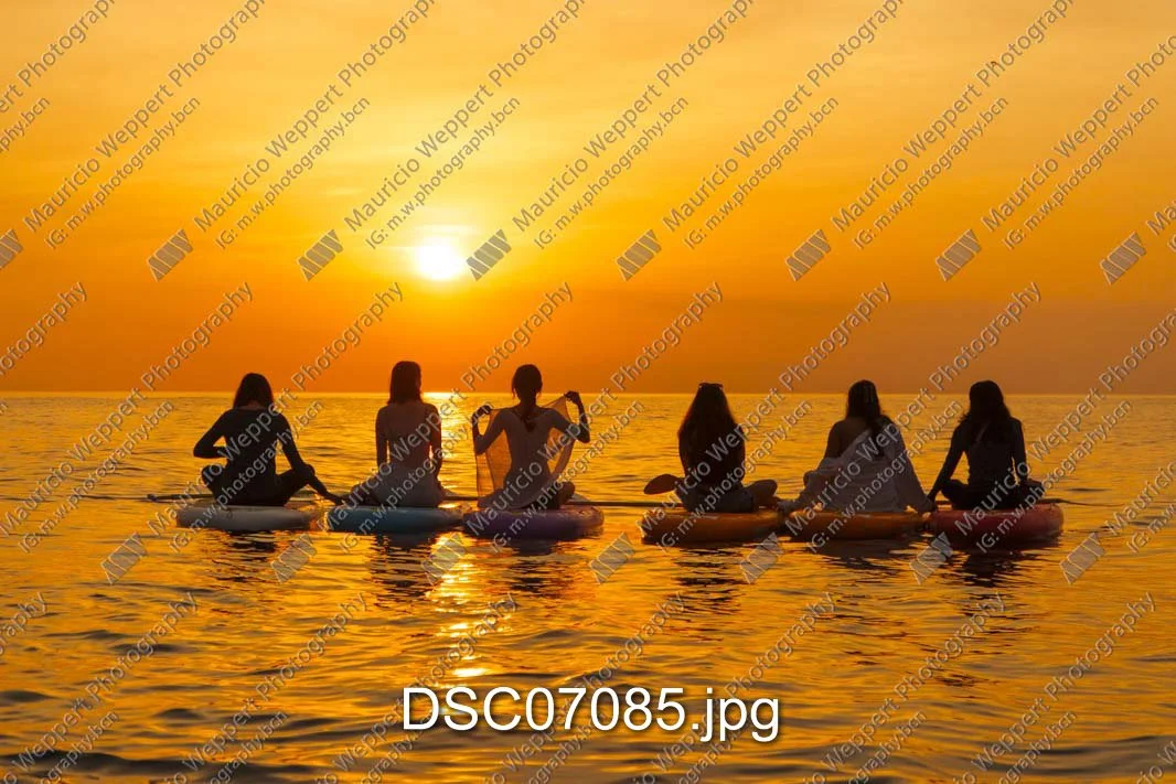 DSC07085.jpg