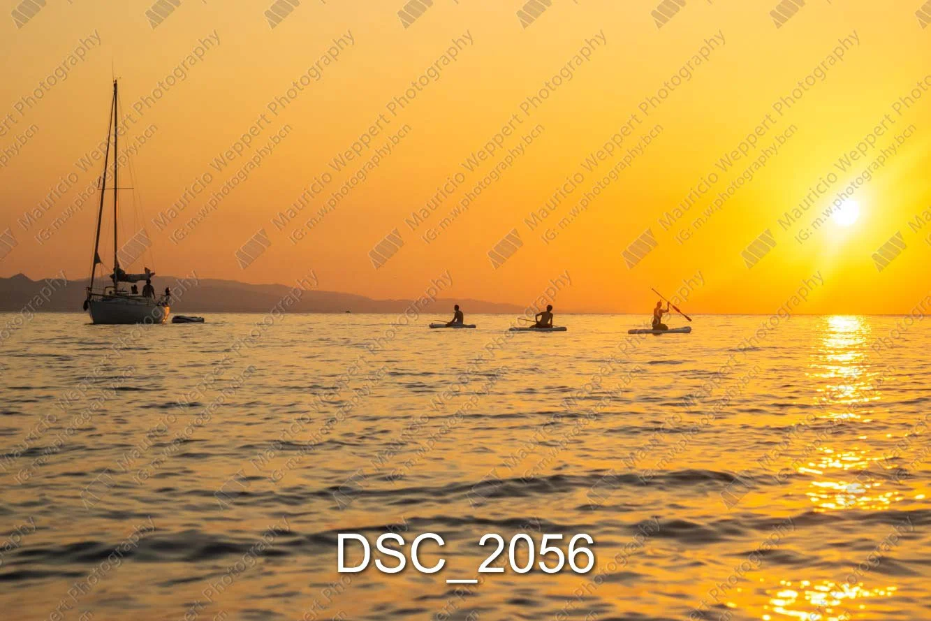 DSC_2056.jpg
