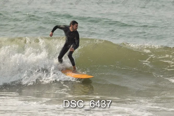 DSC_6437.jpg