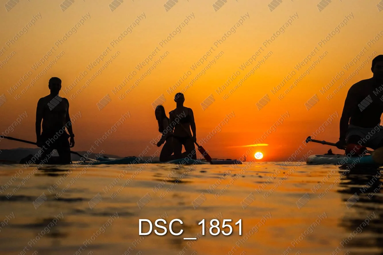 DSC_1851.jpg