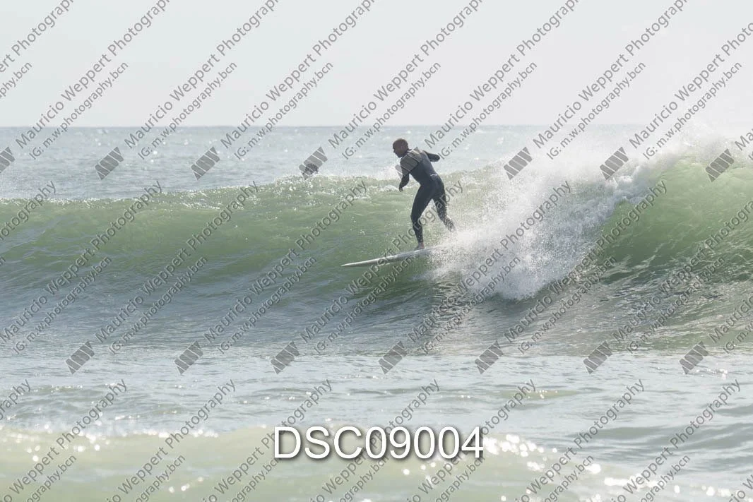DSC09004.jpg