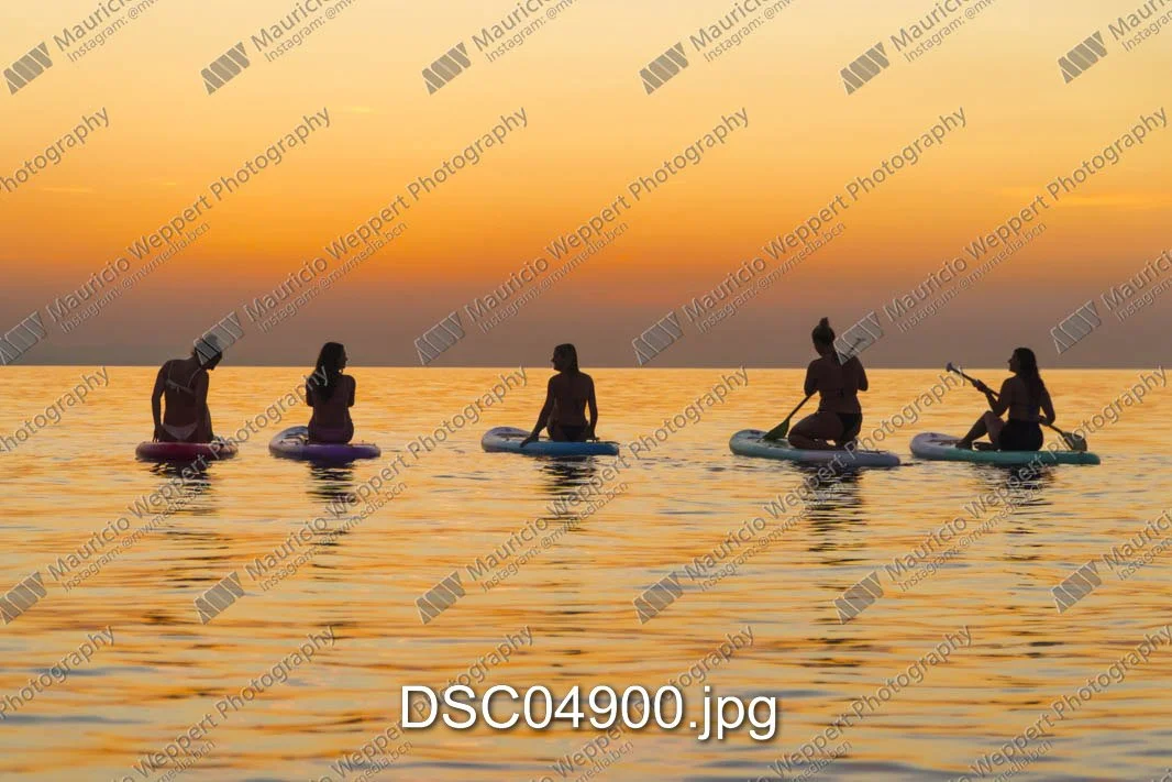 DSC04900.jpg