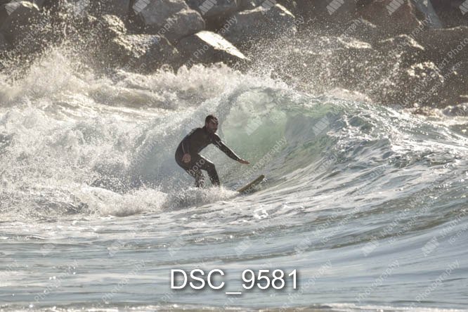 DSC_9581.jpg