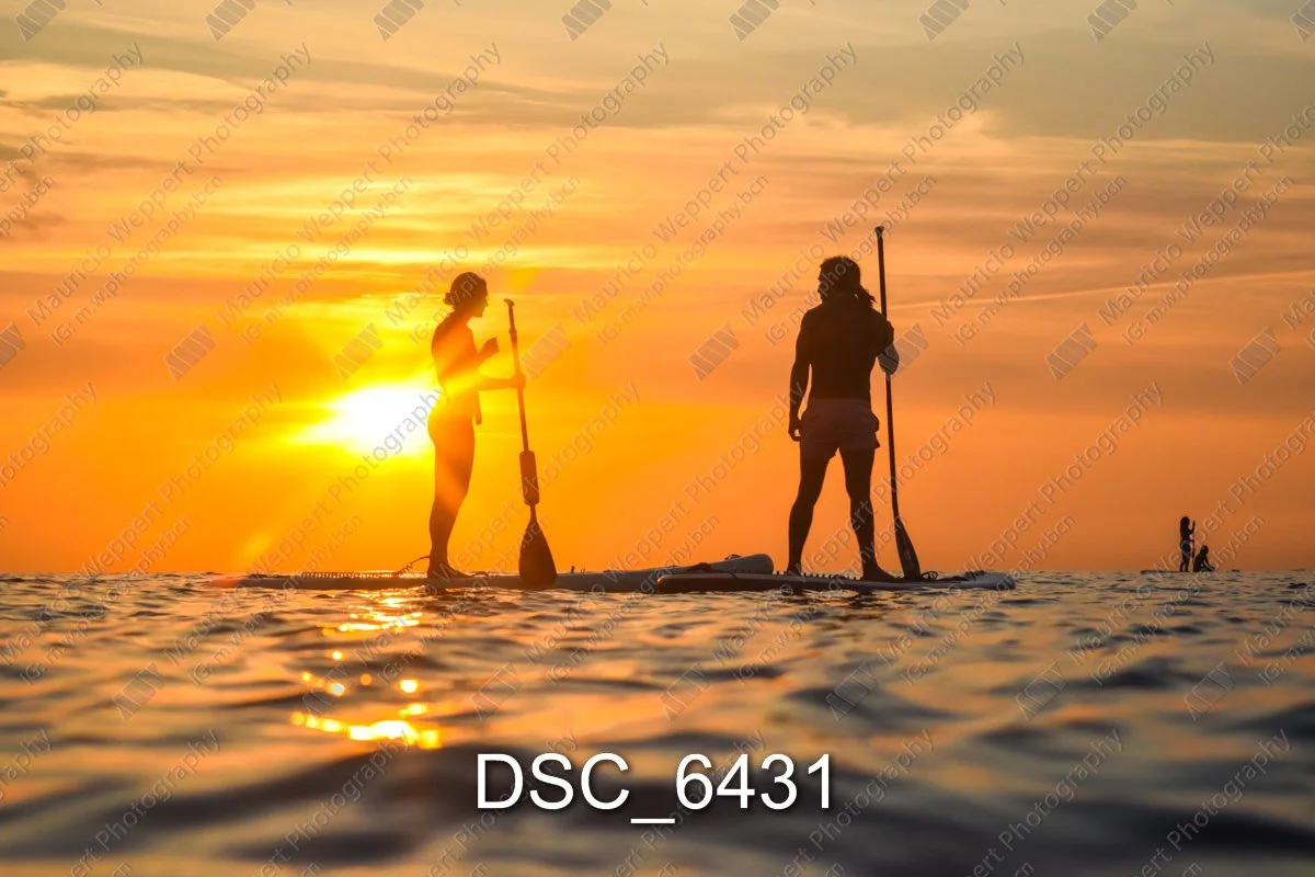 DSC_6431.jpg