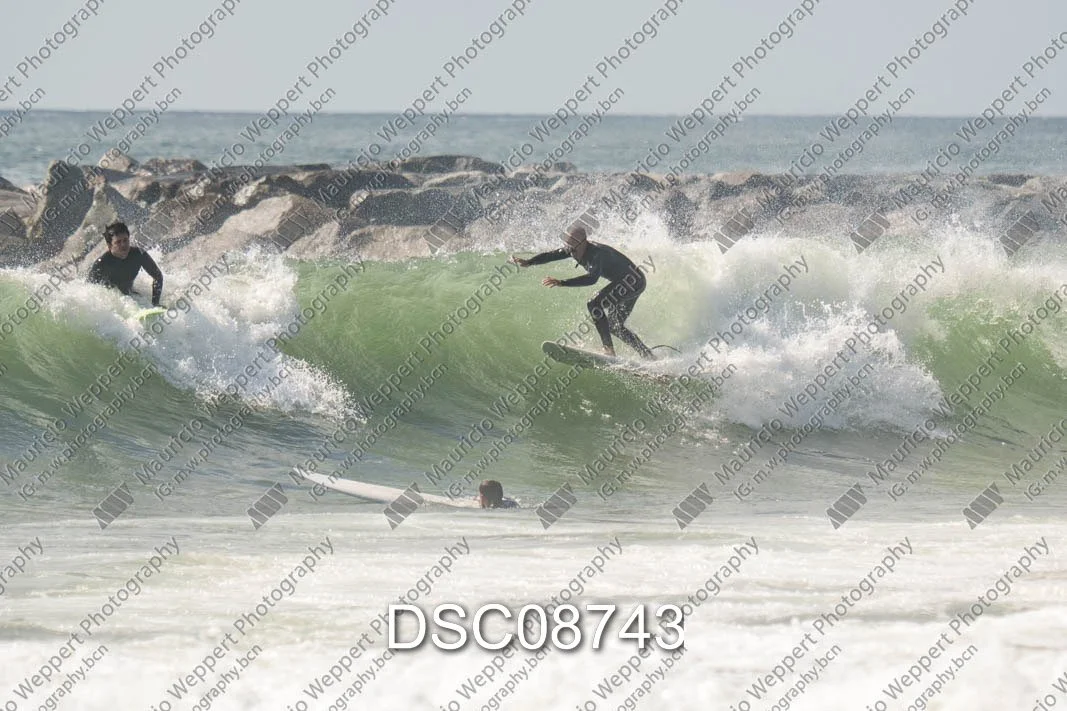DSC08743.jpg