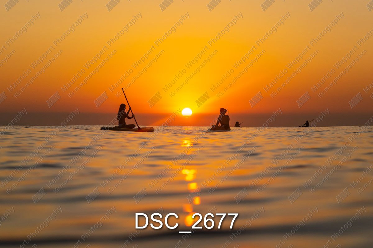 DSC_2677.jpg