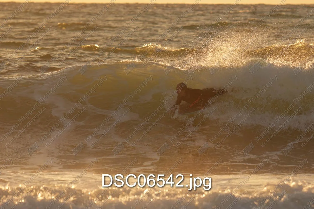 DSC06542.jpg