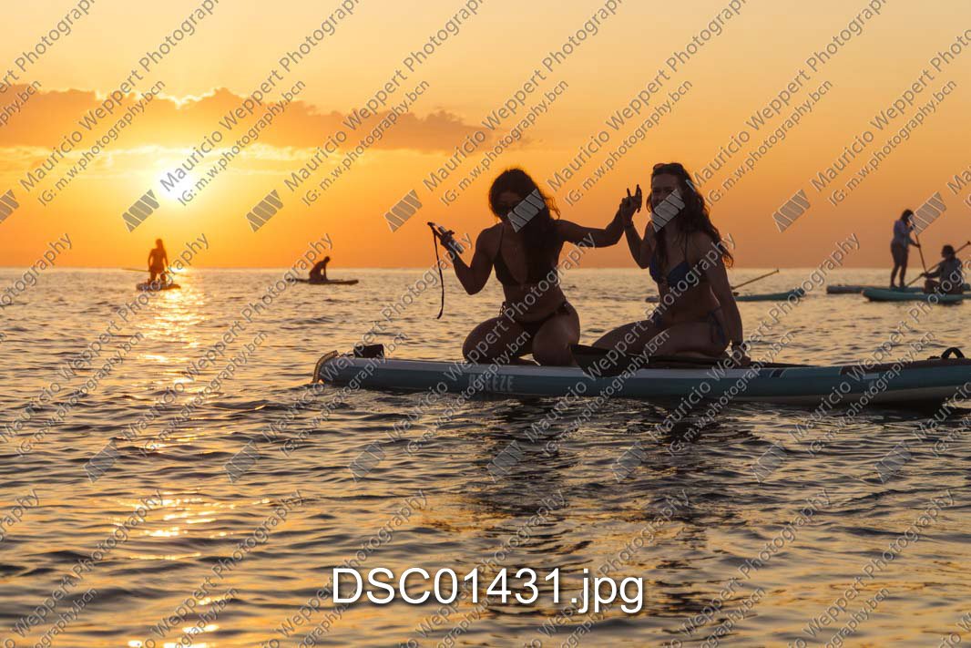 DSC01431.jpg