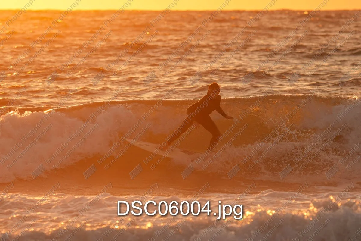 DSC06004.jpg