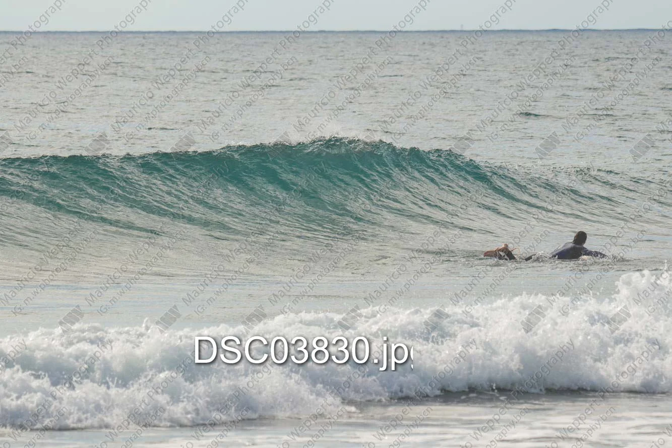 DSC03830.jpg
