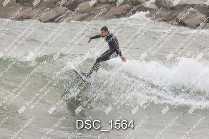 DSC_1564.jpg