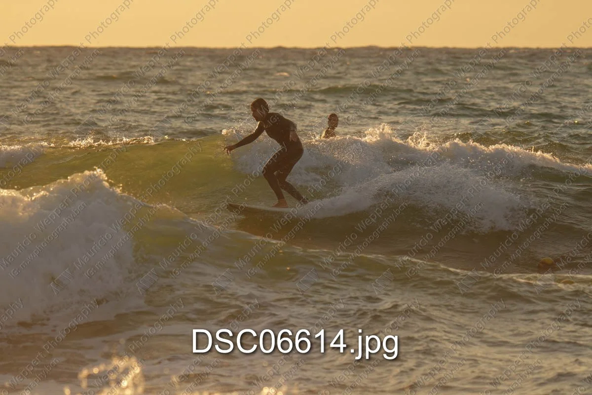 DSC06614.jpg
