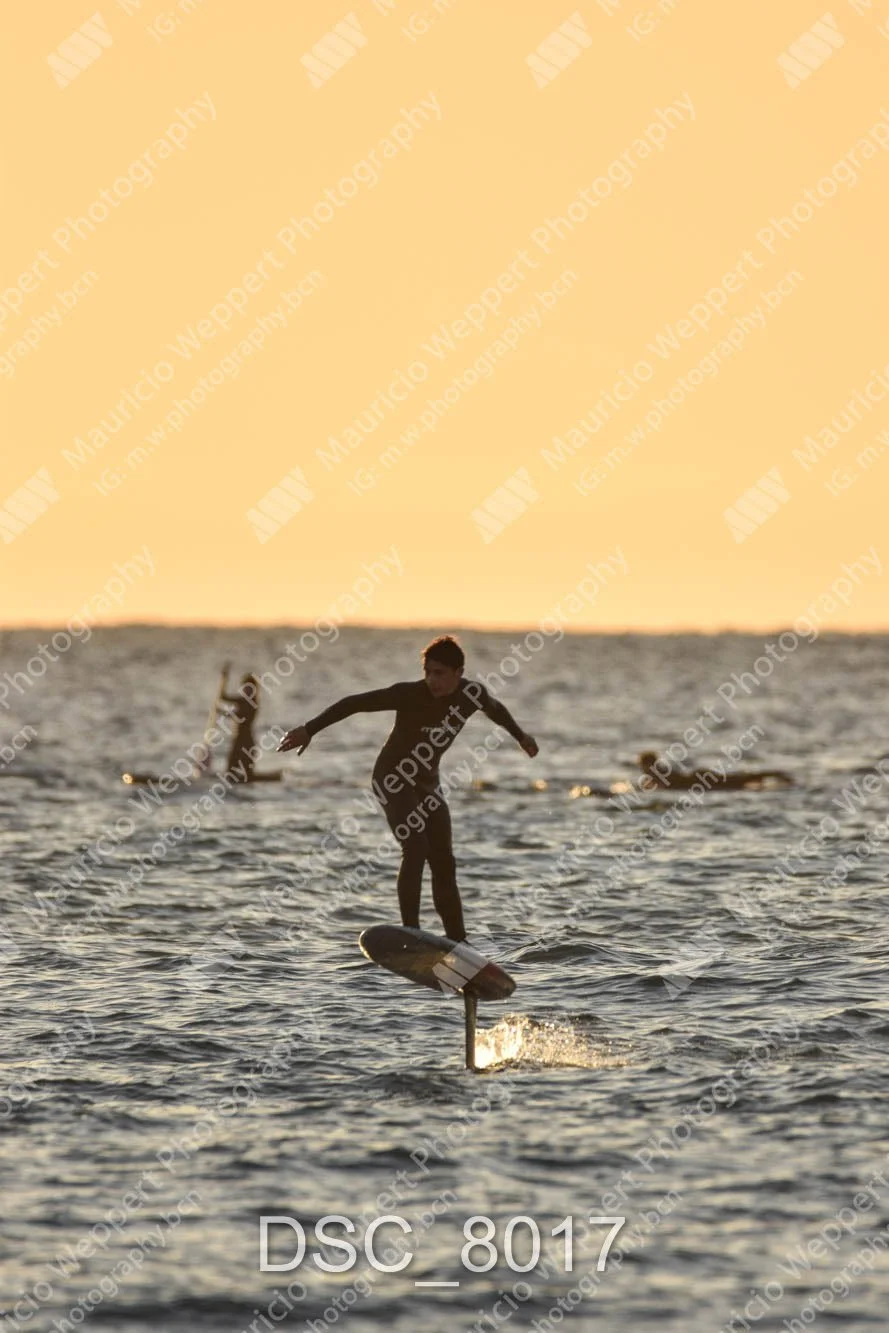 DSC_8017.jpg