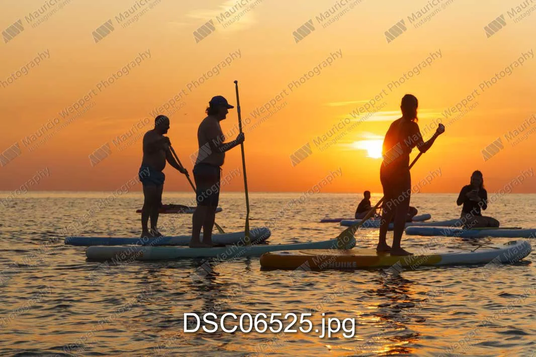 DSC06525.jpg