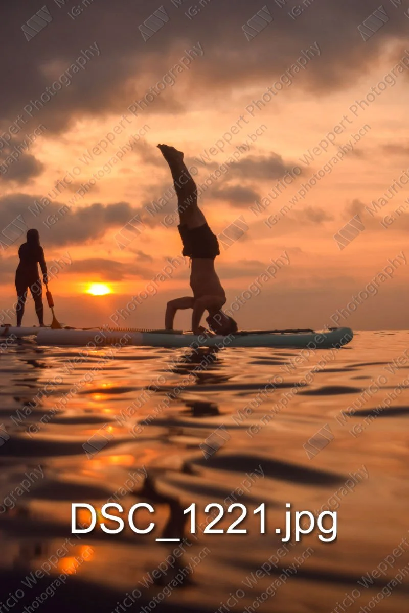 DSC_1221.jpg