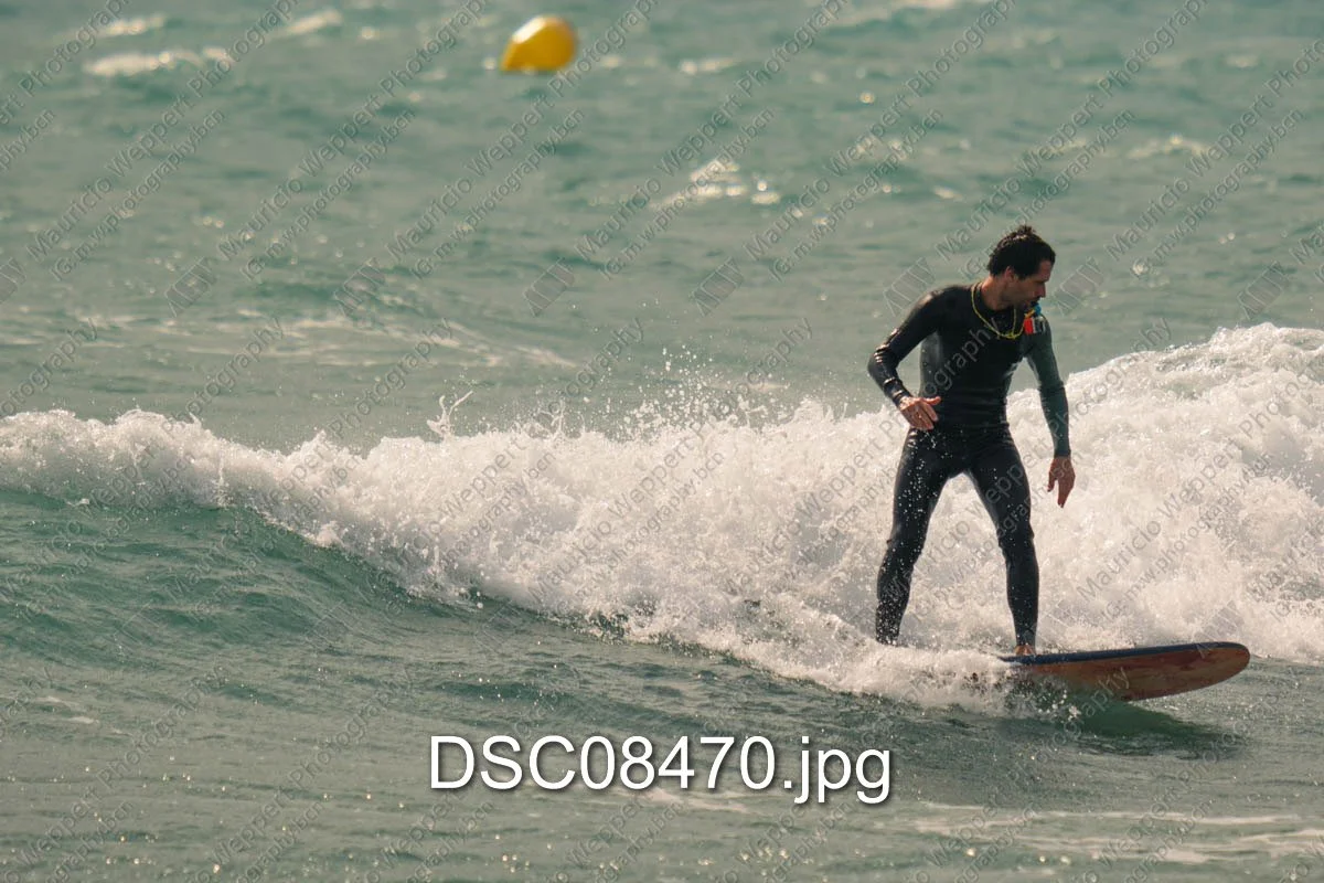 DSC08470.jpg
