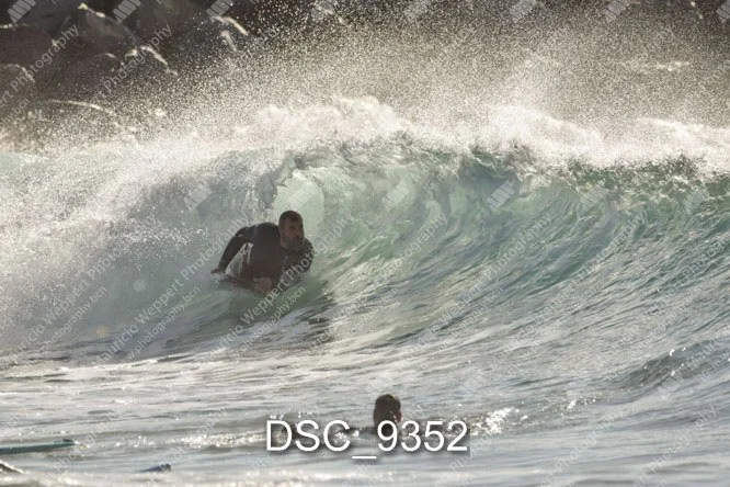 DSC_9352.jpg